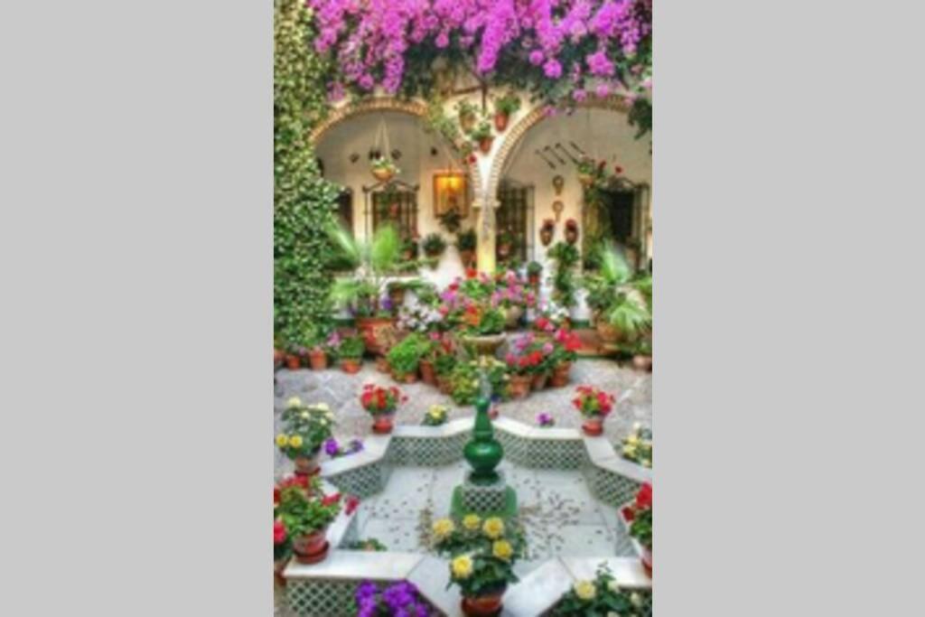 Corredera House. Pleno Centro De Cordoba Apartment Екстериор снимка