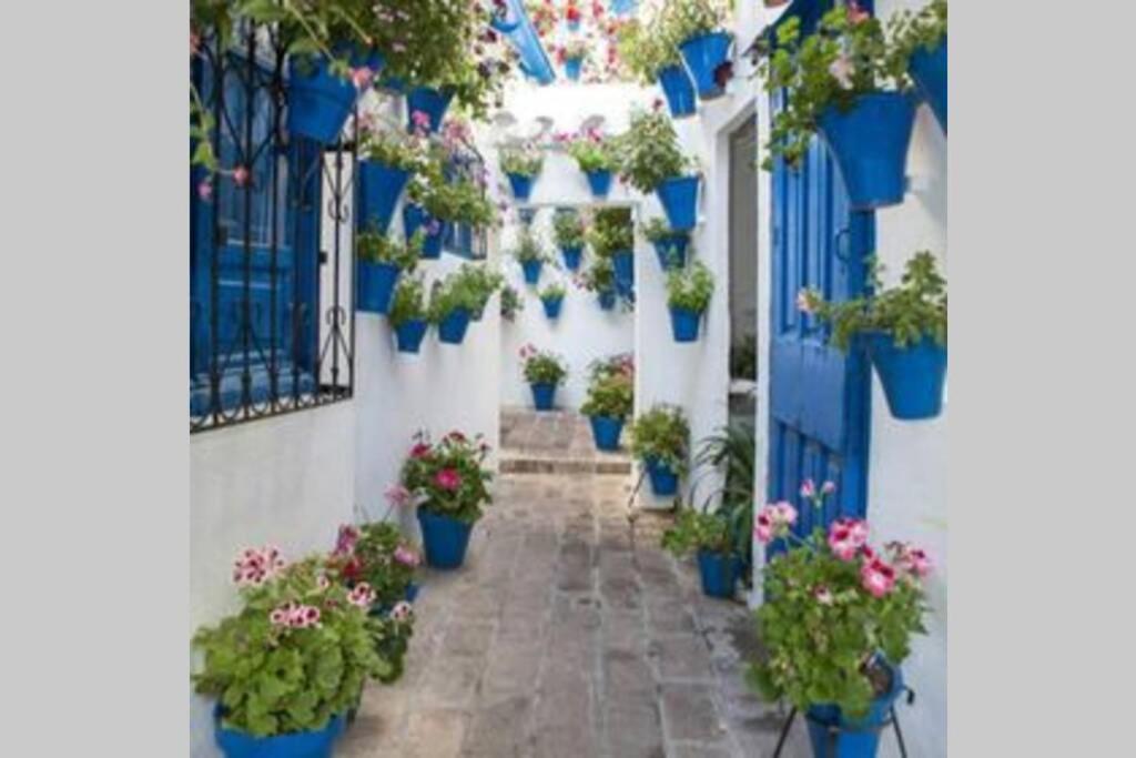 Corredera House. Pleno Centro De Cordoba Apartment Екстериор снимка